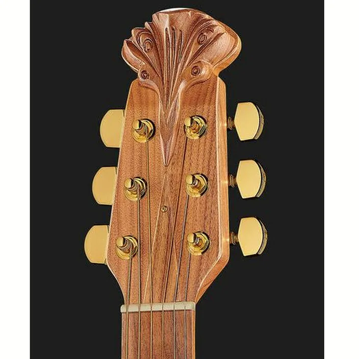 Guitare Acoustique Adamas 1687GT-2 RRB