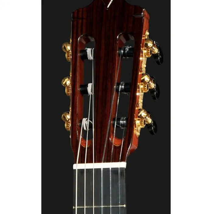 Avis de la guitare Classique Cordoba C9 Cedar