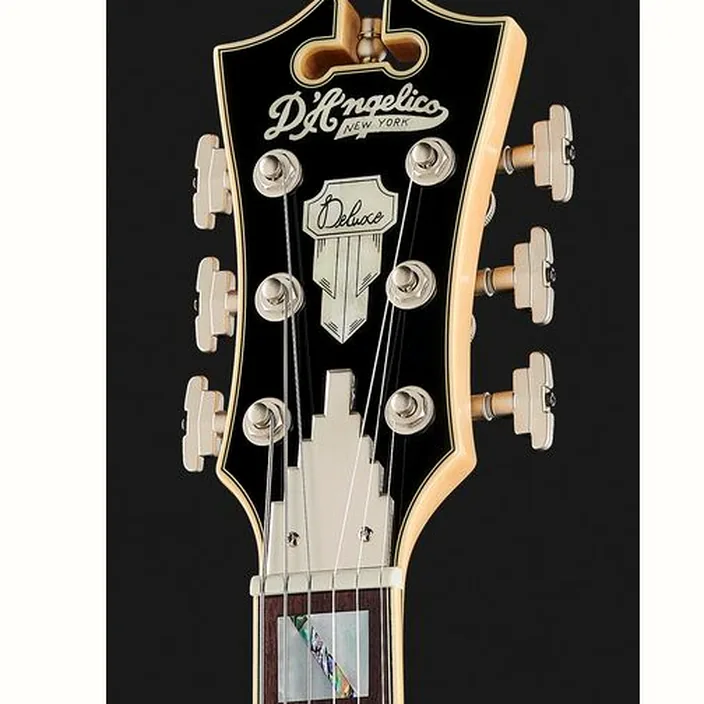 Guitare DAngelico Deluxe Atlantic LE Sage