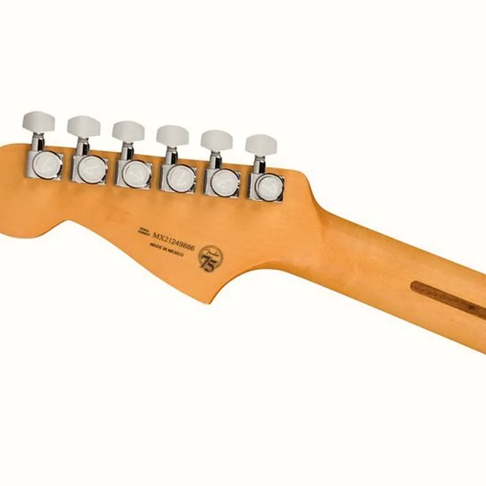 Guitare électrique Fender Player Plus Meteora PF CJ