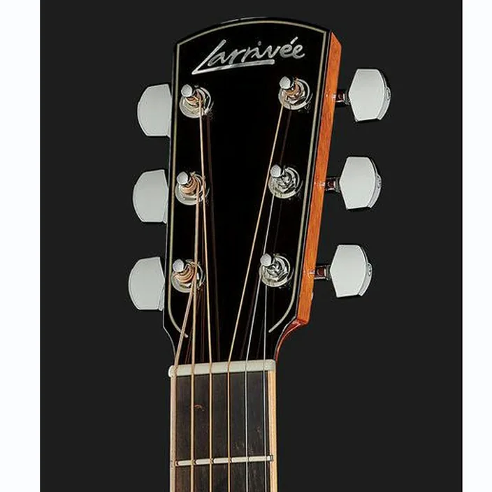 Guitare Larrivee LV-05E Mahogany