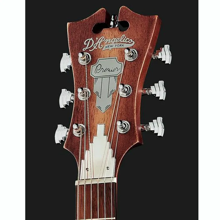 Guitare Acoustique DAngelico Premier Tammany LS Aged Mah