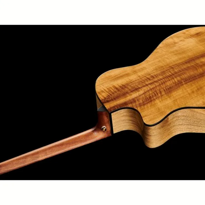Guitare Cort GAMY-BV Natural w/Bag