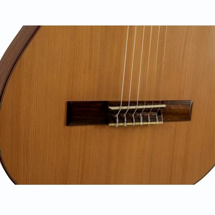 Guitare Manuel Rodriguez T-62