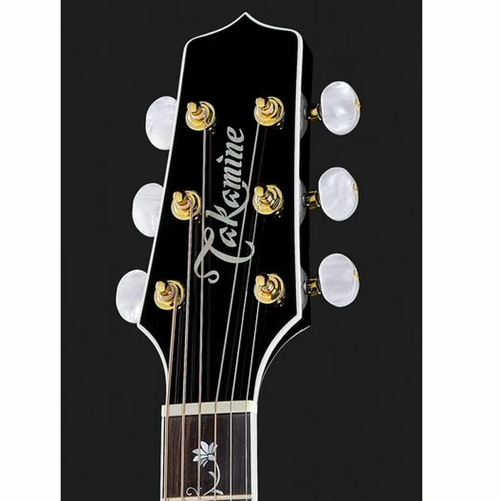 Et Avis de la guitare Acoustique Takamine EF450C-TTS
