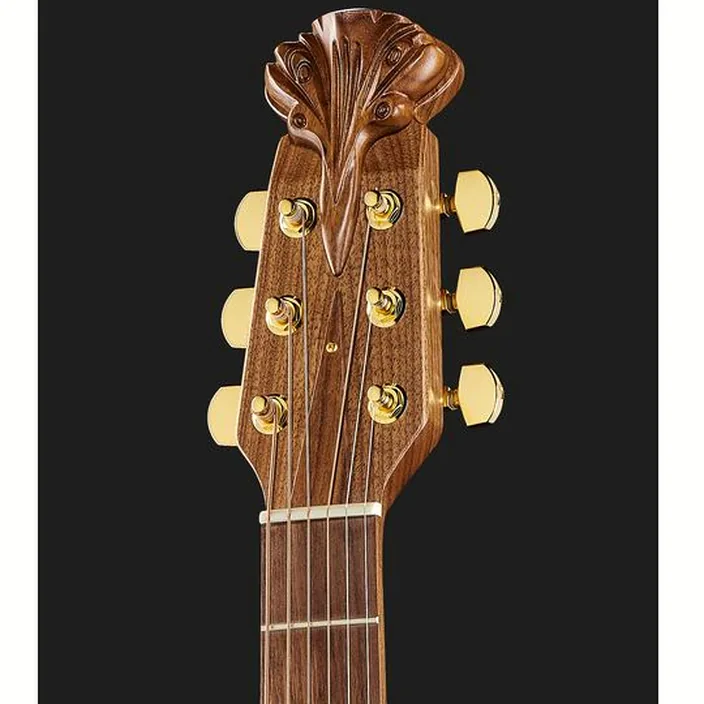 Et Avis de la guitare Adamas 2087GT-2 RRB