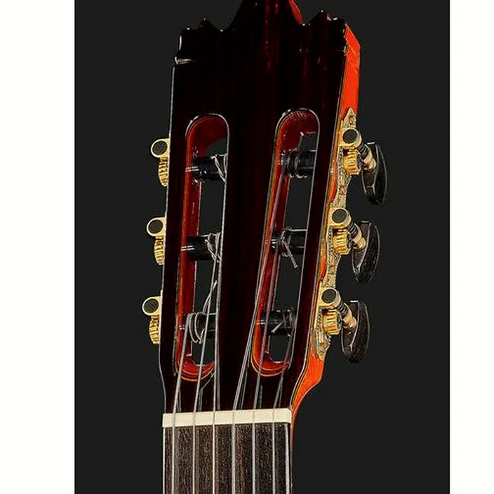 Et Avis de la guitare Classique Raimundo Model 160 Flamenco