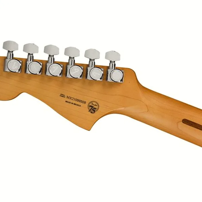 Et Avis de la guitare électrique Fender Player Plus Meteora MN 3CS