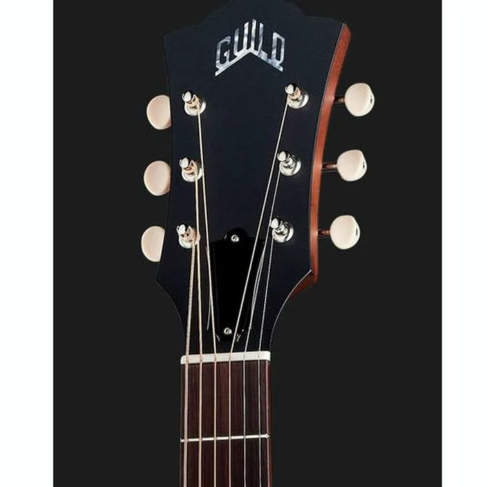 Et Avis de la guitare Guild D-20 Nat USA
