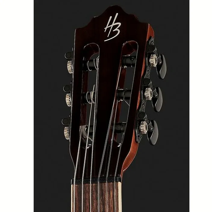 Et Avis de la guitare Harley Benton Santos Series C-40SCE N w/Bag