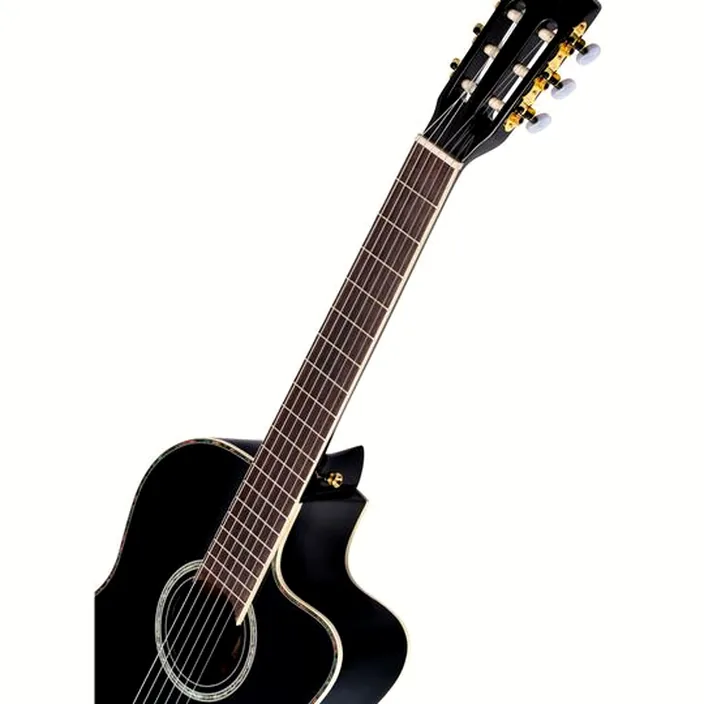 Et Avis de la guitare Ortega RCE141BK