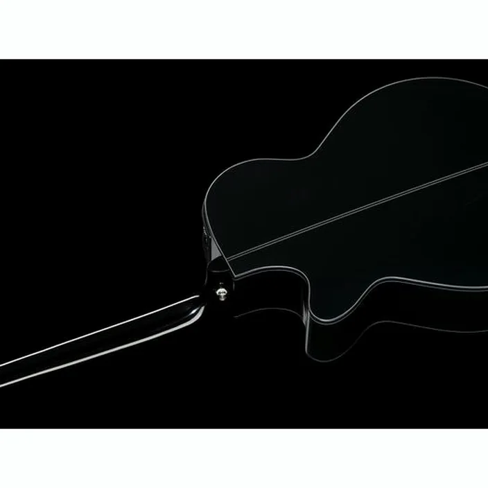 Et Avis Guitare acoustique Takamine GF30CE-B w/Bag