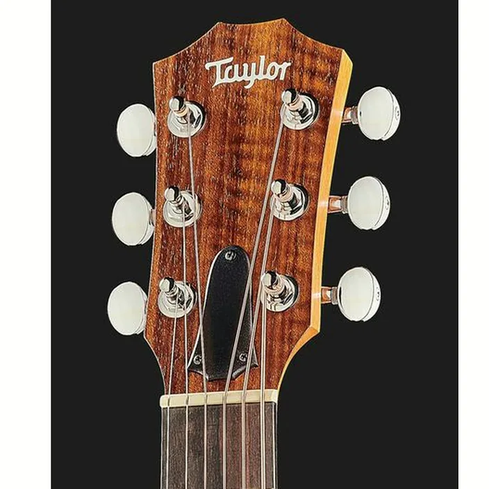 Et Avis Guitare acoustique Taylor GS Mini-e Mahogany LH