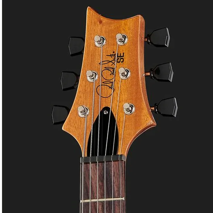 Et Avis PRS SE Pauls Guitar DC