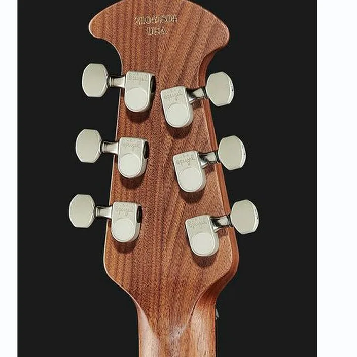 Et Test Guitare Adamas MD80-NWT