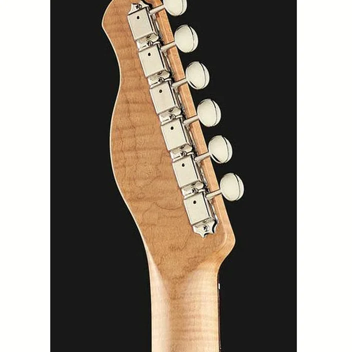 Guitare Xotic Guitars Xotique XTC Spalted Maple Aged