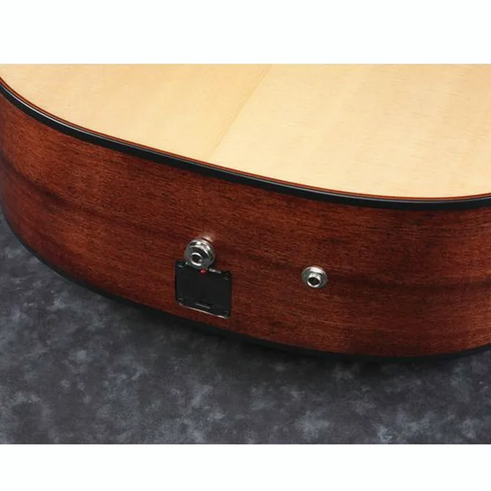 Guitare Ibanez AAD300CE-LGS