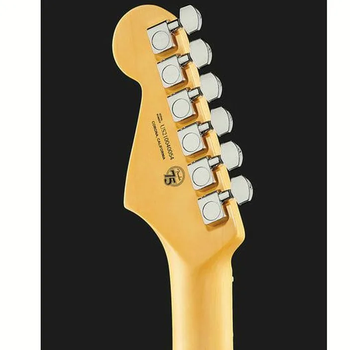 Fender AM Pro II Strat MN DK NIT Avis, Test et Comparatif