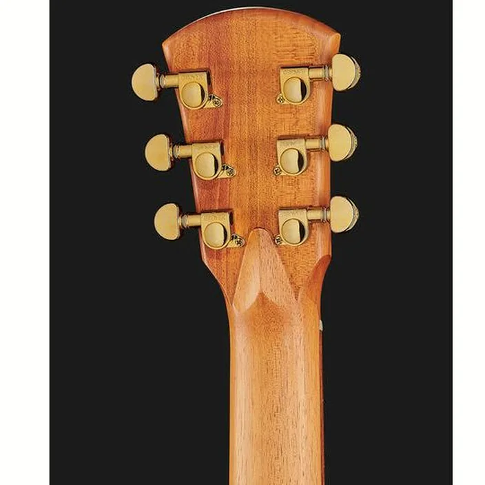 Guitare Acoustique Cole Clark LL2E-BLBL - Avis, Comparatif, Test