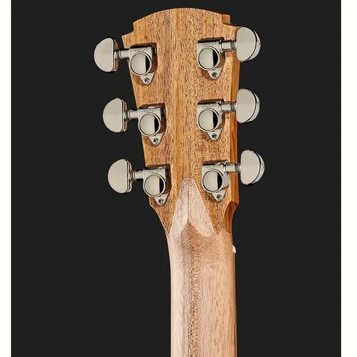 Guitare Cole Clark TL2EC-BLBL-HUM - Comparatif, Avis & Test