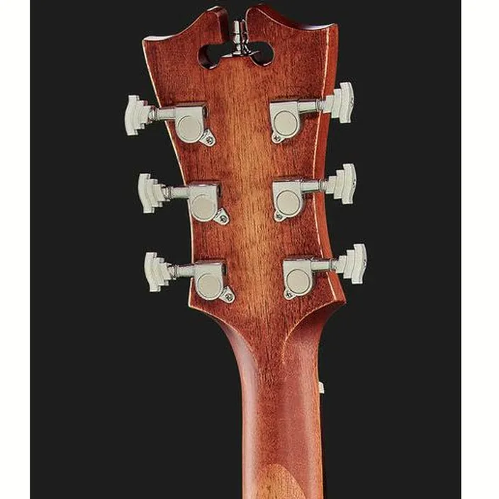 Guitare DAngelico Premier Gramercy LS Aged Mah Test, Comparatif & Avis