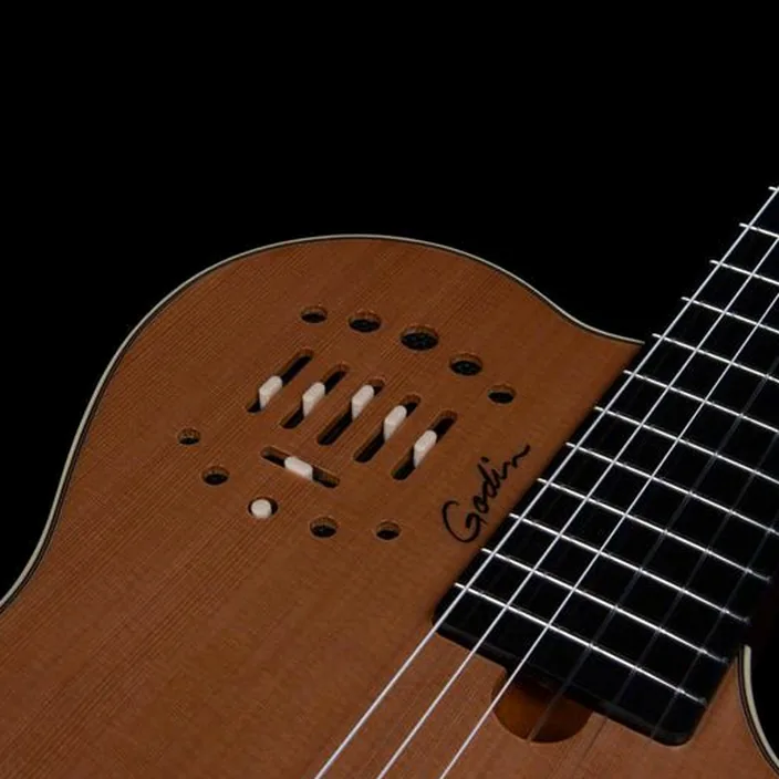 Guitare Godin Multiac Grand Concert Deluxe , Comparatif, Avis et Test