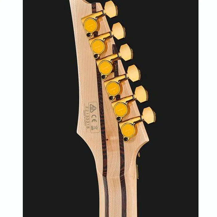 Ibanez RG5170B-BK / Avis, Test & Comparatif