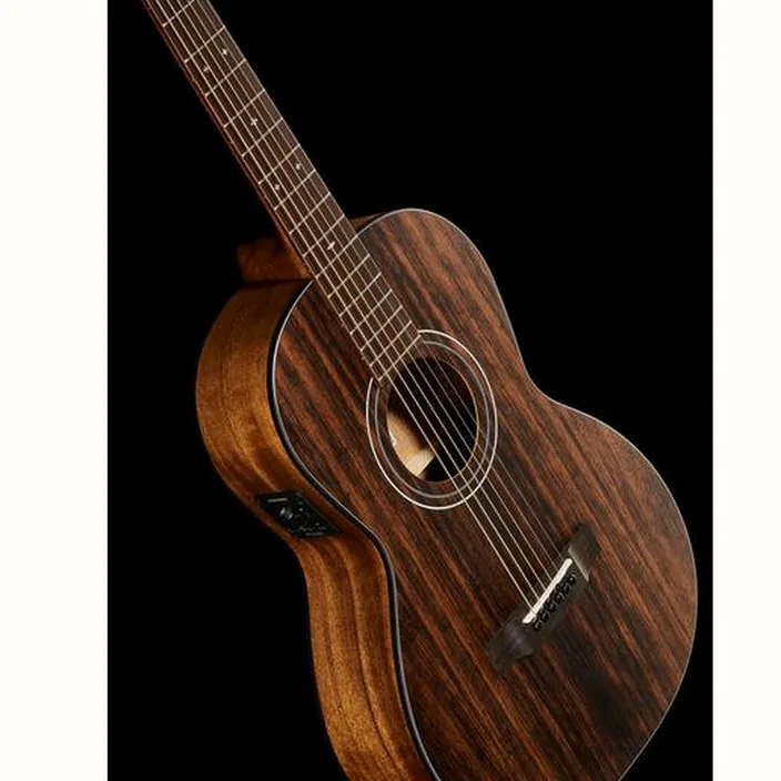 La guitare Acoustique Harley Benton CLP-15E Java Exotic w/Bag | Test & Avis