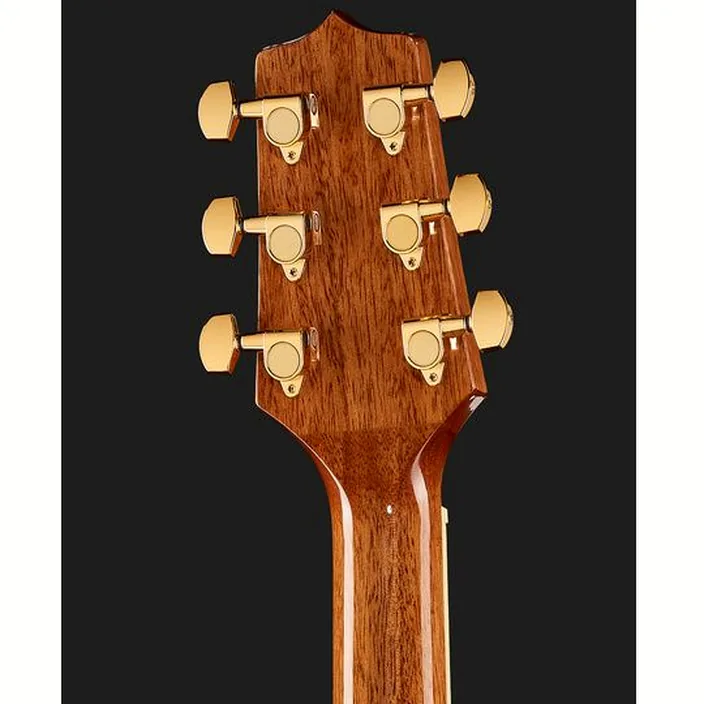 La guitare acoustique Takamine GD51CE-NAT w/Bag / Comparatif, Avis, Test