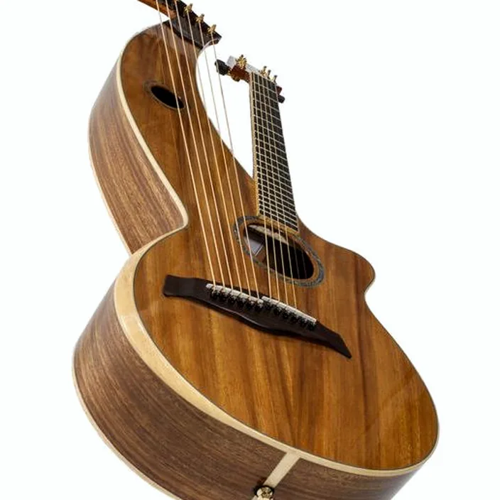La guitare Acoustique Timberline Guitars T60HGc-e Harp Guitar , Comparatif, Avis et Test