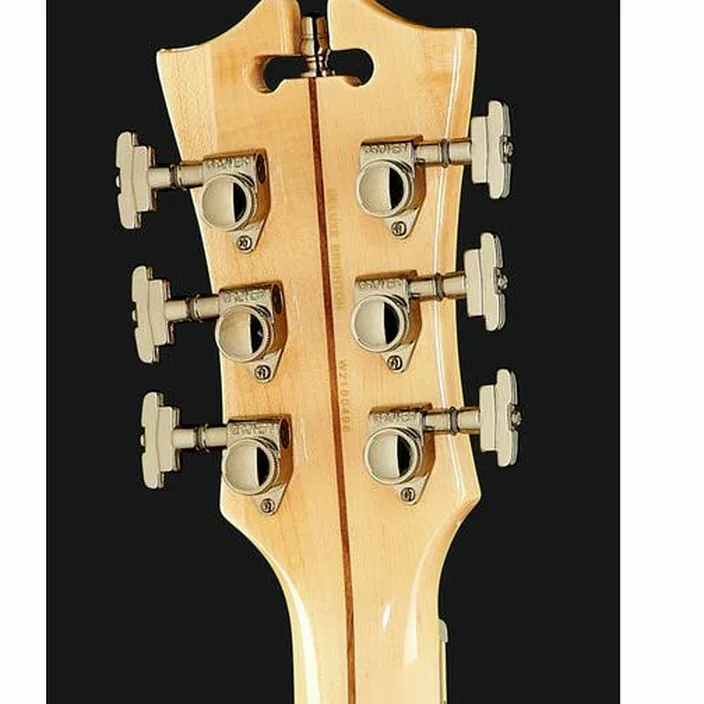 La guitare électrique DAngelico Deluxe Brighton VSB Avis, Test & Comparatif