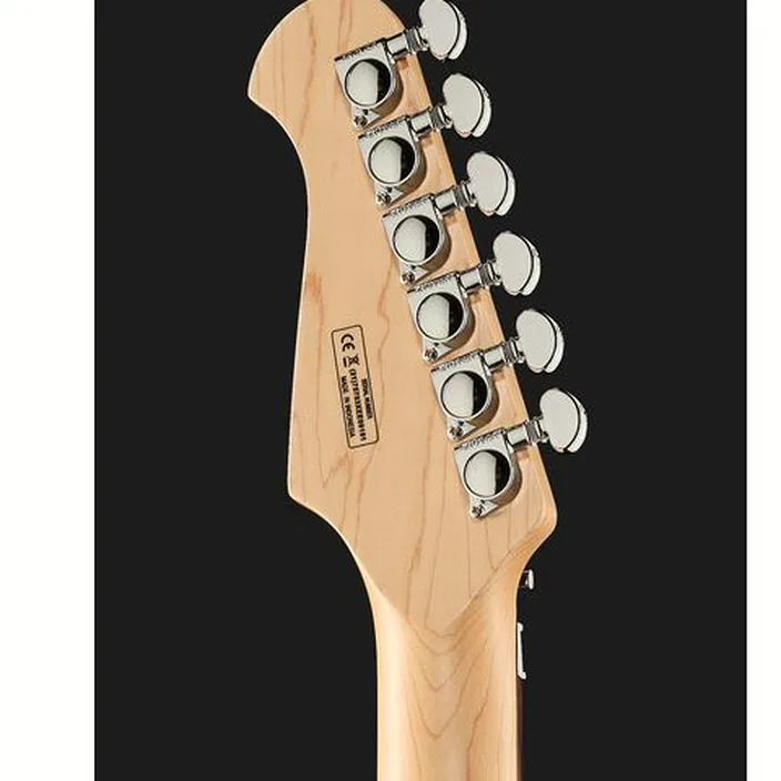 La guitare électrique Harley Benton Fusion-III HH FR EB FBB w/Case / Test, Avis