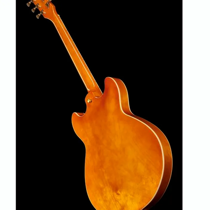 La guitare électrique Harley Benton HB-35Plus Metallic Plum Bundle / Avis, Test, Comparatif