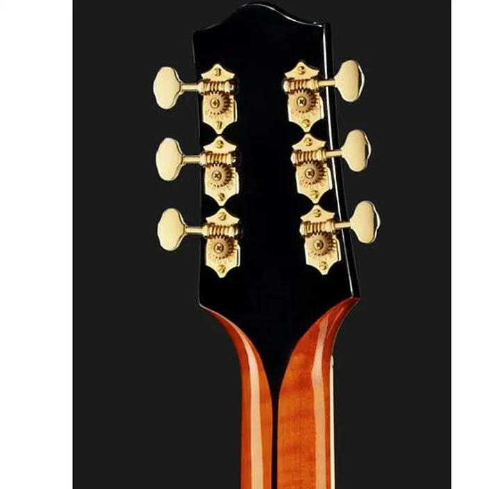 La guitare électrique The Loar LH-700 VS , Test & Avis
