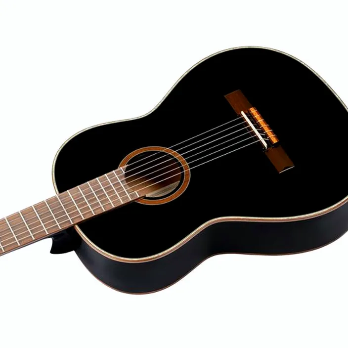 La guitare Ortega R221-BK Test & Avis