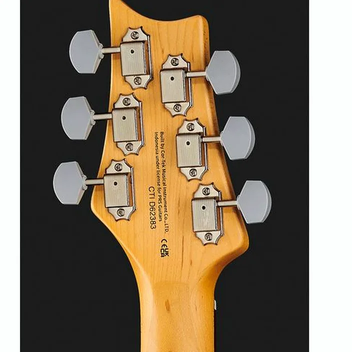 PRS SE Silver Sky Ever Green , Test, Comparatif et Avis