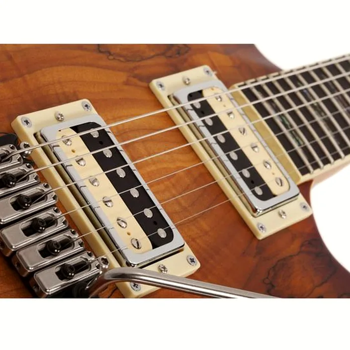 Schecter C-1 Exotic Spalted Maple SNVB : Avis, Comparatif & Test