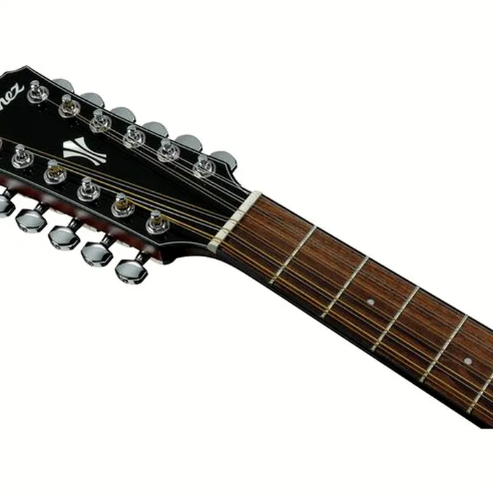 Guitare Acoustique Ibanez AEG5012-BKH