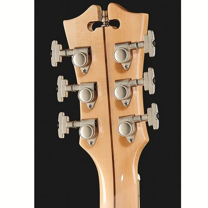 Guitare DAngelico Deluxe Atlantic LE Sage