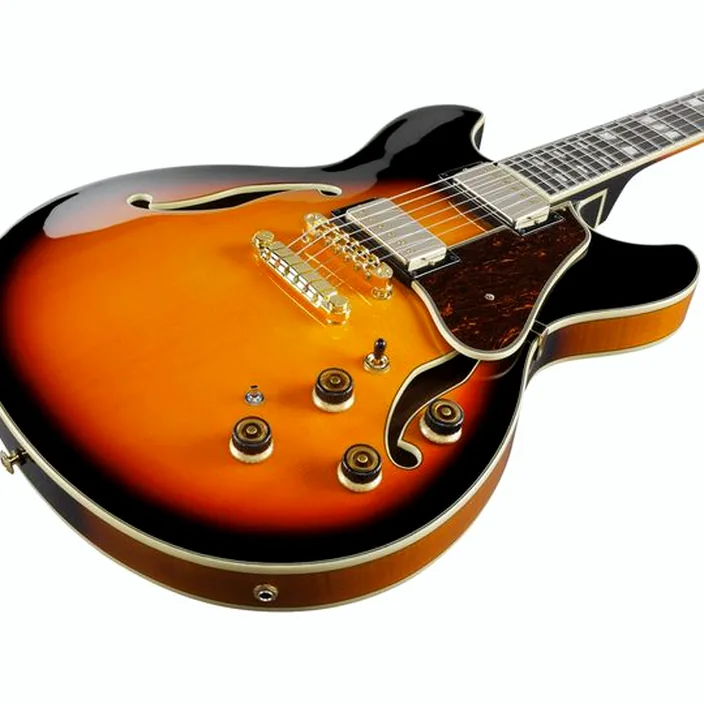 Guitare Ibanez AS113-BS