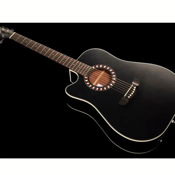 Guitare Acoustique Harley Benton HB Custom Line CLD-10SC Bundle