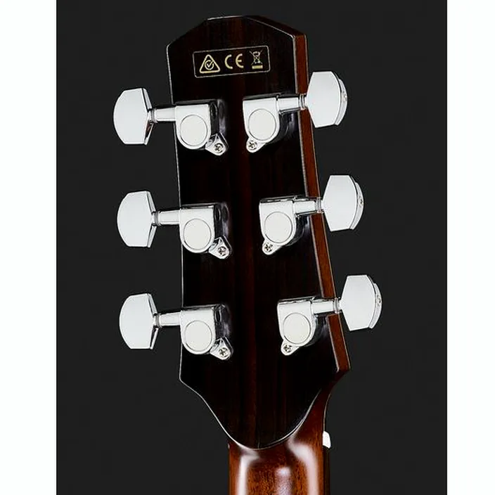 Guitare acoustique Ibanez AAD400CE-LGS