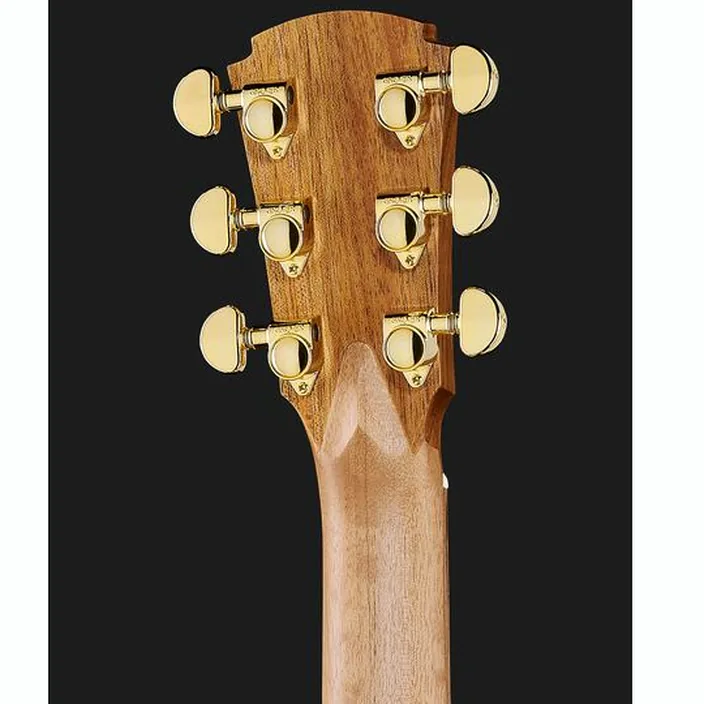 Guitare Cole Clark AN2EC-RDBL