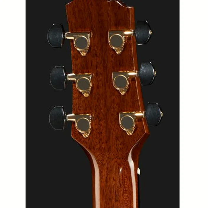Guitare Stanford SW 48 GA CM ECW Sidewalk