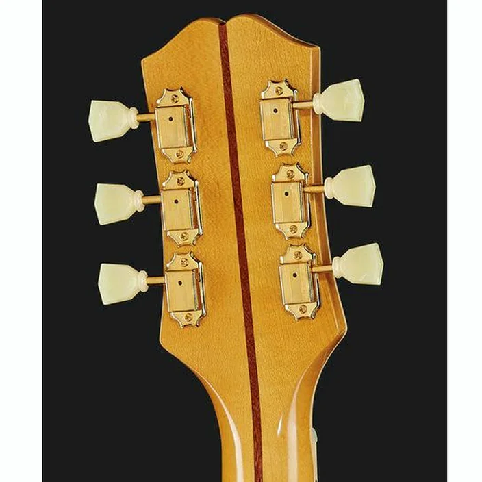Et Avis de la guitare Acoustique Epiphone J-200 AANG