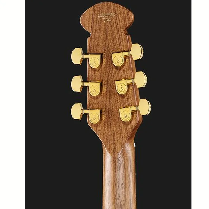 Et Avis de la guitare Adamas 2087GT-2 RRB