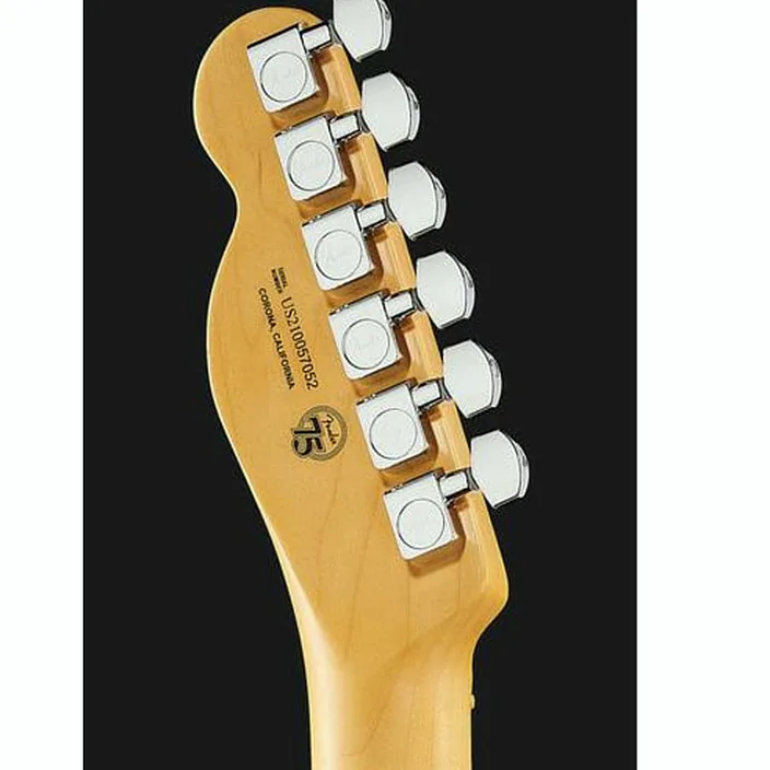 Et Avis Fender AM Pro II Tele MN BK