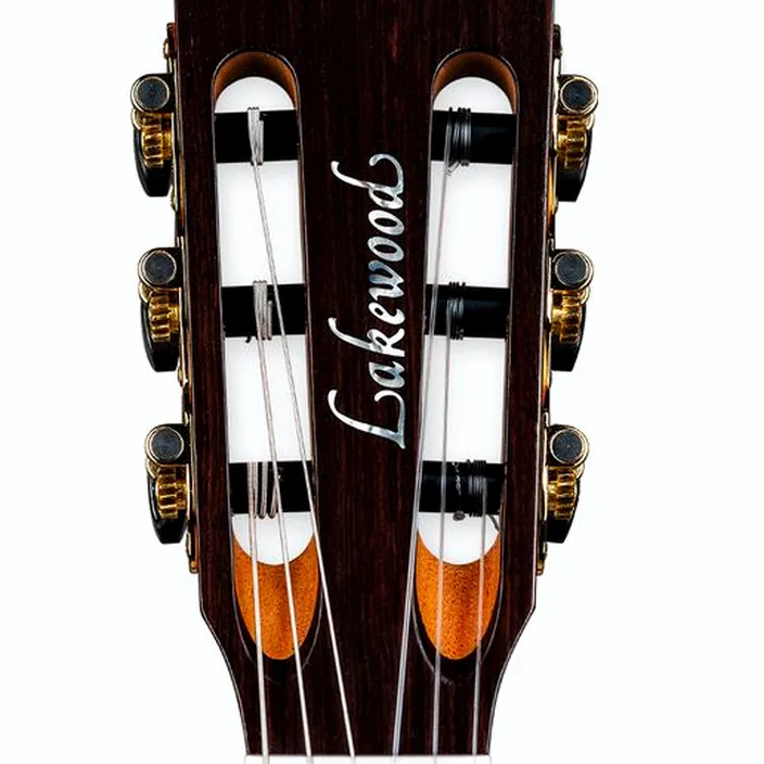 Et Avis Guitare classique Lakewood A-36 CP Crossover