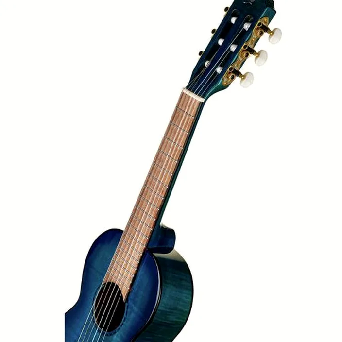 Et Avis Guitare Classique Ortega RGLE18BLF Guitarlele