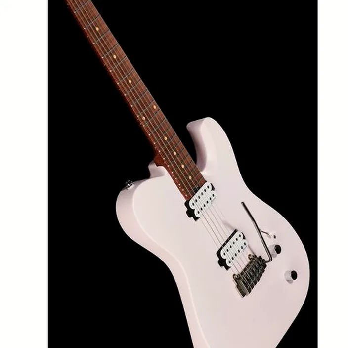 Et Avis Harley Benton Fusion-T HH Roasted SP Bundle